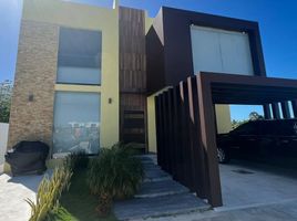 在Campeche出租的4 卧室 屋, Carmen, Campeche