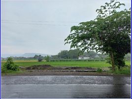  Land for sale in Prambanan, Klaten, Prambanan