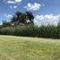  Land for sale in Juanacatlan, Jalisco, Juanacatlan