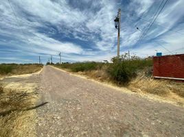  Terreno (Parcela) en venta en Guanajuato, Guanajuato, Guanajuato, Guanajuato