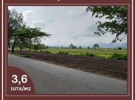  Land for sale in Prambanan, Klaten, Prambanan