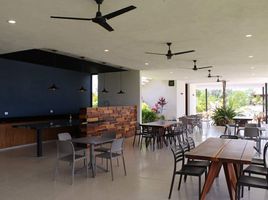 在Progreso, Yucatan出售的 土地, Progreso
