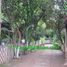 3 Bedroom House for rent in Tay Ho Hanoi, Phu Thuong, Tay Ho