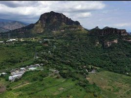  Grundstück zu verkaufen in Tepoztlan, Morelos, Tepoztlan, Morelos