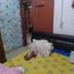 Maison 6 chambre à vendre à Pulo Gadung, Jakarta, Pulo Gadung, Jakarta Timur