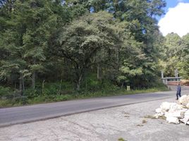  Terreno (Parcela) en venta en Pachuca De Soto, Hidalgo, Pachuca De Soto, Hidalgo