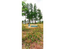  Land for sale in Alto Boquete, Boquete, Alto Boquete