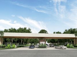  Land for sale in Merida, Yucatan, Merida, Yucatan