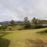 Terrain à vendre à Rionegro, Antioquia, Rionegro