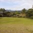 Terrain à vendre à Rionegro, Antioquia, Rionegro