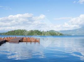  Land for sale in Chile, Villarrica, Cautin, Araucania, Chile