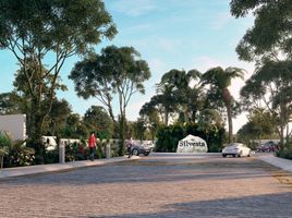  Terreno (Parcela) en venta en Conkal, Yucatán, Conkal