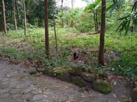 Maison 3 chambre à vendre à Seyegan, Yogyakarta, Seyegan, Sleman, Yogyakarta