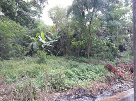  Land for sale in Depok, Sleman, Depok