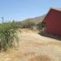  House for rent in Santiago, Curacavi, Melipilla, Santiago
