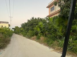  Terreno (Parcela) en venta en Lazaro Cardenas, Quintana Roo, Lazaro Cardenas