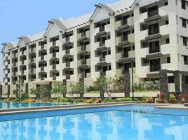 1 Bedroom Condo for sale at DMCI Calathea Place, Paranaque City