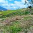  Land for sale in Yotoco, Valle Del Cauca, Yotoco