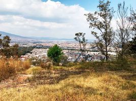 Terrain à vendre à Morelia, Michoacan, Morelia