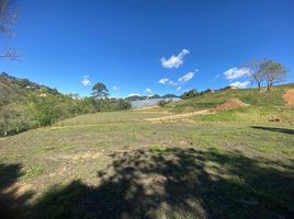  Land for sale in Marinilla, Antioquia, Marinilla