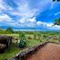  Land for sale in Lago De Chapala, Jalisco, Lago De Chapala