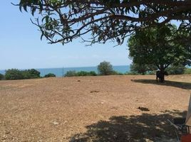  Land for sale in La Union, Ilocos, Rosario, La Union