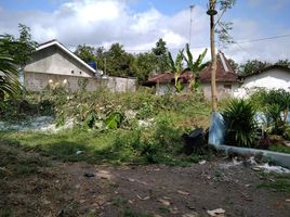  Land for sale in Minggir, Sleman, Minggir