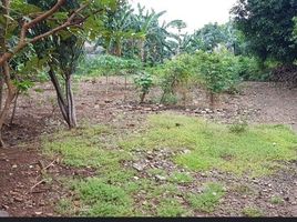  Terreno (Parcela) en venta en Cilandak, Jakarta, Cilandak