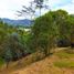 Terrain à vendre à La Ceja, Antioquia, La Ceja, Antioquia