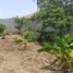  Land for sale in Jose Luis Tamayo Muey, Salinas, Jose Luis Tamayo Muey