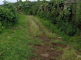  Land for sale in Batu, Malang Regency, Batu