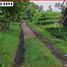  Land for sale in Selemadeg, Tabanan, Selemadeg