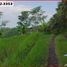  Land for sale in Selemadeg, Tabanan, Selemadeg