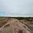  Land for sale in El Fuerte, Sinaloa, El Fuerte
