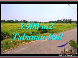  Land for sale in Selemadeg, Tabanan, Selemadeg