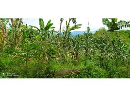  Land for sale in Pereira, Risaralda, Pereira