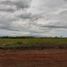  Land for sale in Misiones, Capital, Misiones