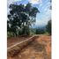  Land for sale in Tenango Del Valle, Mexico, Tenango Del Valle
