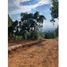 Land for sale in Tenango Del Valle, Mexico, Tenango Del Valle