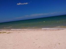 Land for sale in Sinanche, Yucatan, Sinanche