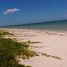  Land for sale in Sinanche, Yucatan, Sinanche