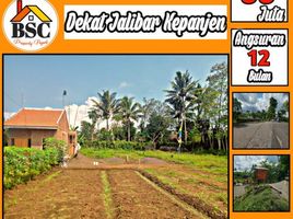  Land for sale in Malang Regency, East Jawa, Kepanjen, Malang Regency