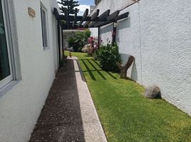 Maison 3 chambre à louer à Queretaro, Queretaro, Queretaro, Queretaro