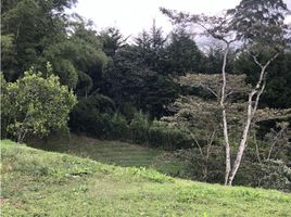  Terreno (Parcela) en venta en Marinilla, Antioquia, Marinilla