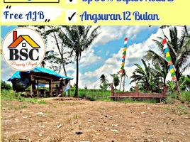  Land for sale in Kepanjen, Malang Regency, Kepanjen