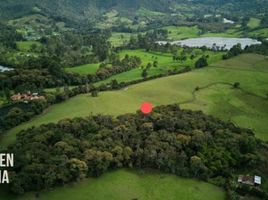  Land for sale in La Ceja, Antioquia, La Ceja