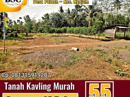  Tanah for sale in Malang Regency, East Jawa, Kepanjen, Malang Regency