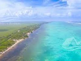  Grundstück zu verkaufen in Othon P Blanco, Quintana Roo, Othon P Blanco