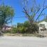  Land for sale in Reynosa, Tamaulipas, Reynosa