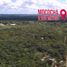 在Mococha, Yucatan出售的 土地, Mococha